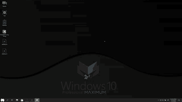 windows 10 professional maximum is shown on a computer screen