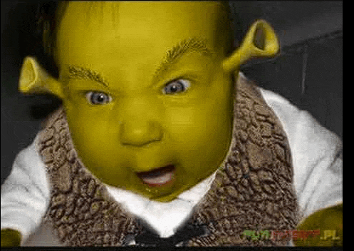 a baby dressed as shrek from shrek is looking at the camera .