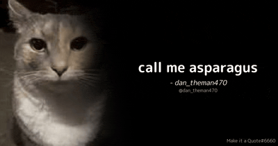 a cat is looking at the camera with the words call me asparagus on the bottom