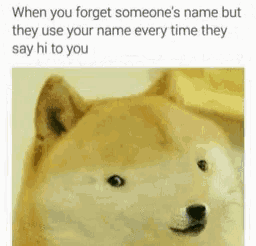 a picture of a dog with a caption that says when you forget someone 's name