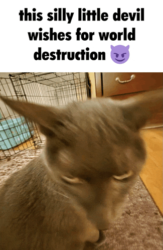 a silly little devil wishes for world destruction with a cat in the background