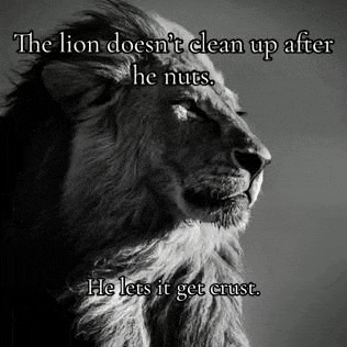 a black and white photo of a lion with a quote about a lion does n't clean up after he nuts .