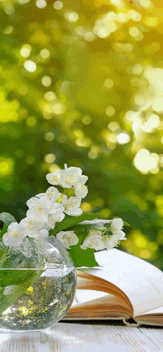 a vase of flowers sits next to an open book on a table