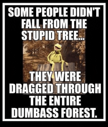 kermit the frog sits on a tree stump with a funny caption