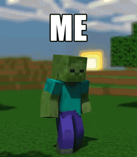 Minecraft GIF