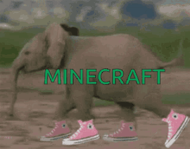 a baby elephant wearing pink converse shoes is walking on dirt