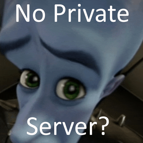 a picture of a cartoon character with the words no private server below it