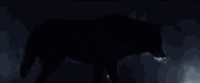 a wolf with the word roles written on its back