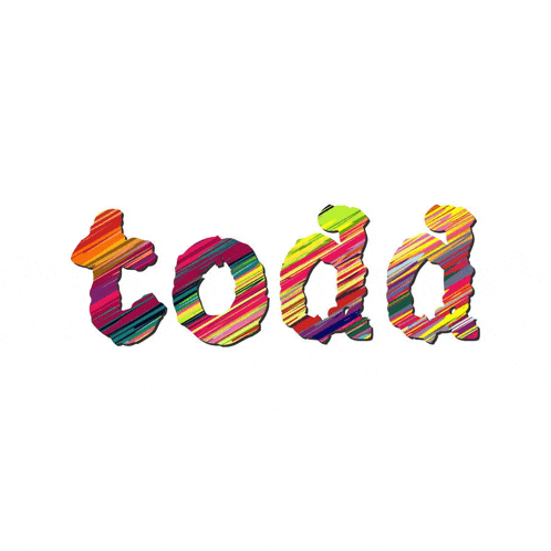 the name todd is written in colorful letters on a white background