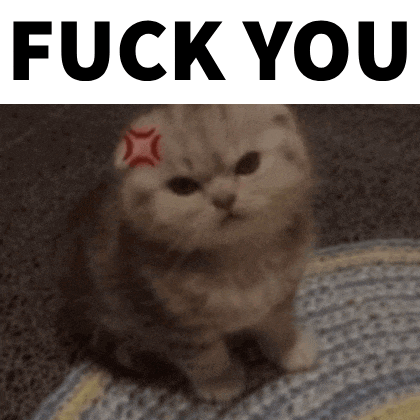 a cat with a red star on its forehead is sitting on a rug under the words fuck you .