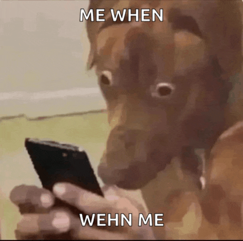 a dog is looking at a cell phone with the words me when wehn me below it