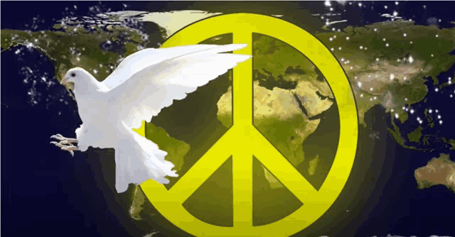 a white dove flies in front of a peace sign