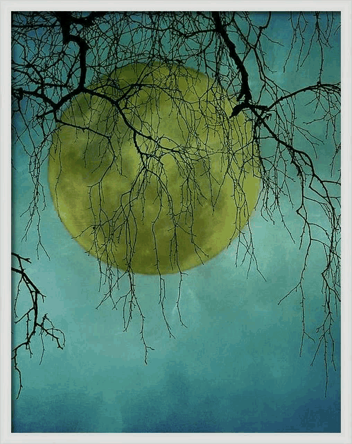 a painting of a full moon behind a tree