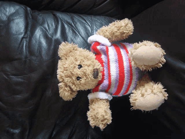 a teddy bear wearing a striped sweater sits on a couch