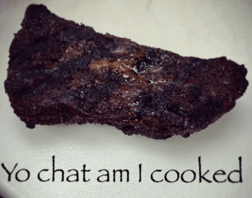 a piece of meat is on a plate with the words yo chat am i cooked written below it