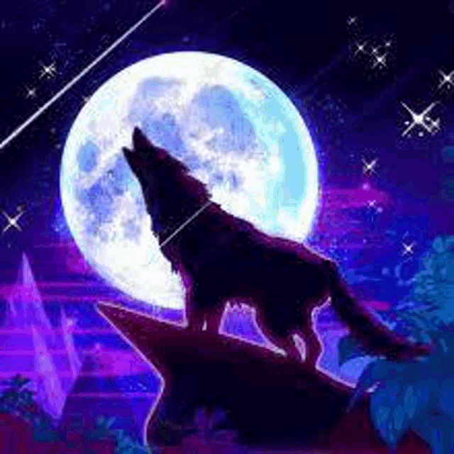 a wolf is howling at the moon while standing on top of a rock .