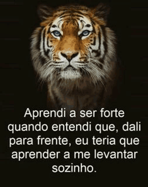 a tiger with blue eyes and a quote on it .