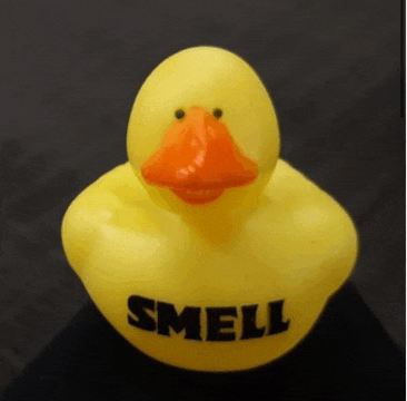 a yellow rubber duck with the words `` smell '' written on it .