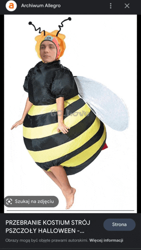 a picture of a person dressed as a bee on a website called archiwum allegro