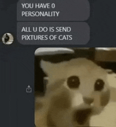 a screenshot of a text message with a picture of a cat on it .