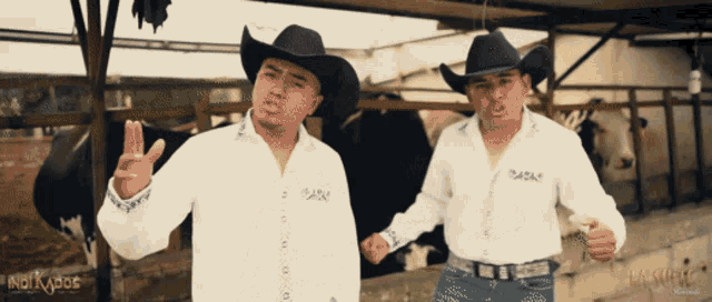 two men wearing cowboy hats and white shirts with the word rasas on them stand in front of cows