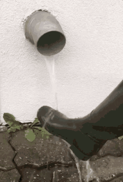 a person wearing a pair of green rubber boots is standing next to a pipe that is draining water .