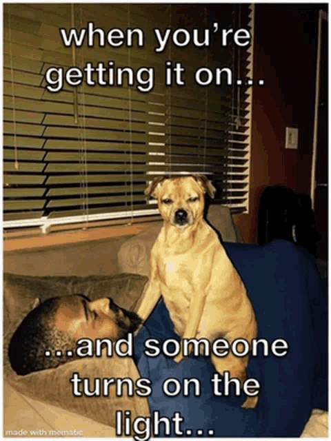 a dog sitting on a man 's lap with a caption that says " when you 're getting it on ... "