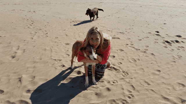 a woman kneeling on the beach with two dogs behind her