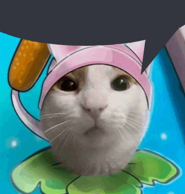 a cat wearing a pink hat with a speech bubble above its head