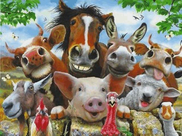 a group of farm animals are posing for a picture and smiling for the camera