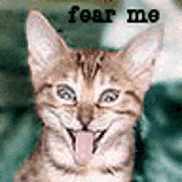 a close up of a cat with its tongue hanging out and the words `` fear me '' written above it .