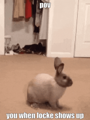 a rabbit is standing in front of a closet with the caption " you when locke shows up " .