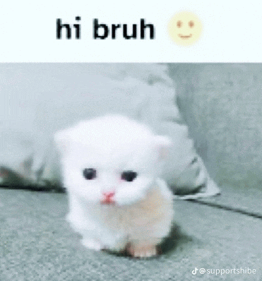 a small white kitten is sitting on a couch next to a pillow and a smiley face .