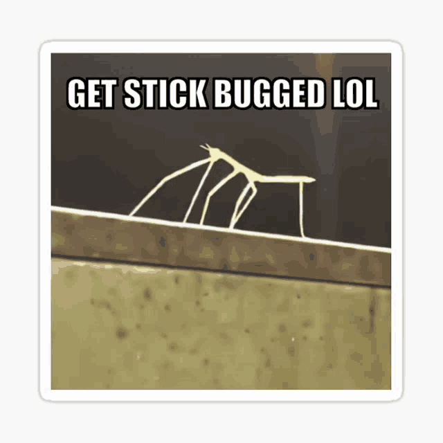 a sticker that says " get stick bugged lol " on it