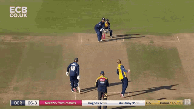a cricket game is being played on ecb.co.uk