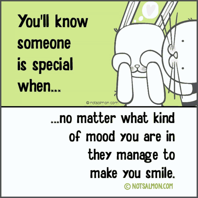 a quote from notsalmon.com that says you 'll know someone is special when no matter what kind of mood you are in