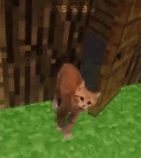 a cat is walking in a video game with the words `` cat > wtf a zombie '' below it .
