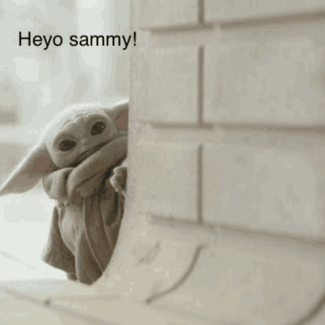 a baby yoda is peeking out from behind a brick wall and saying heyo sammy .