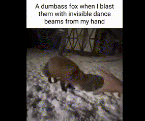 two foxes are playing in the snow with invisible dance beams from my hand .