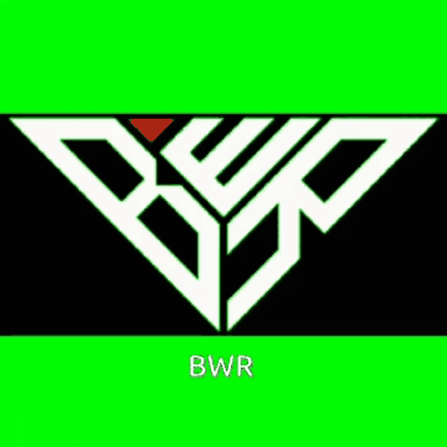 a black and white logo with the word bwr underneath it