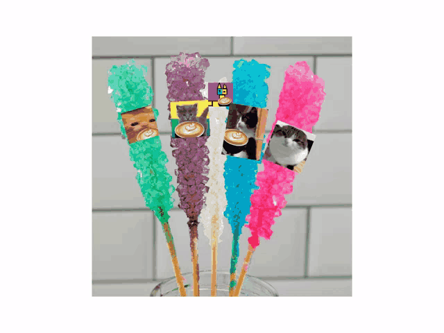 a bunch of colorful rock candy with pictures of cats on them