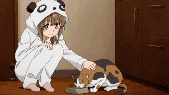 a girl in a panda costume feeds a cat