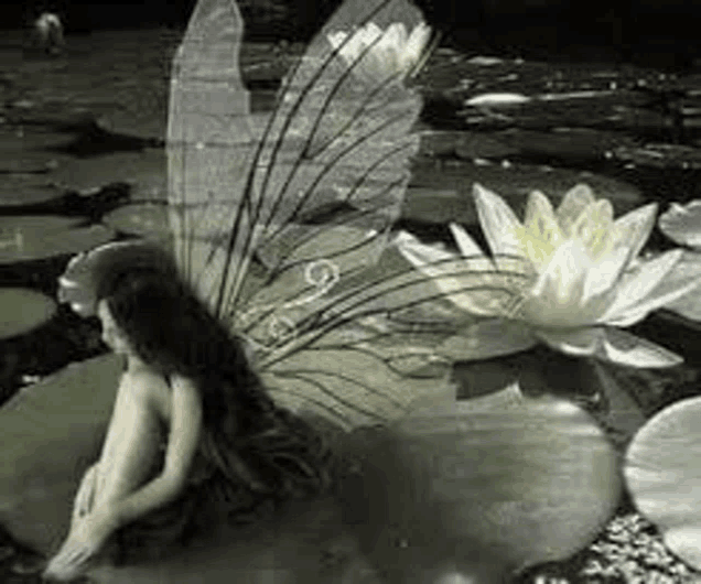 a black and white photo of a fairy sitting on a lily pad .