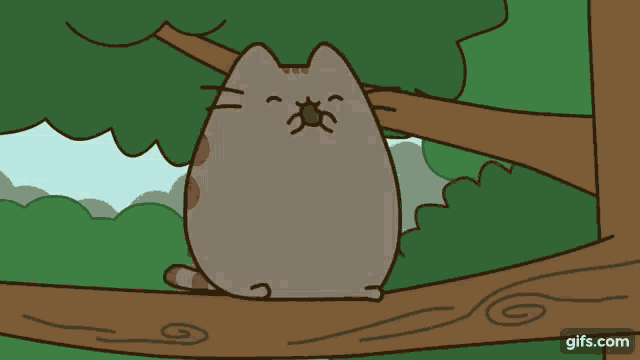 a cartoon cat sitting on a tree branch with a spider on its face