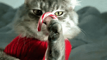 a cat is licking a candy cane with its paw