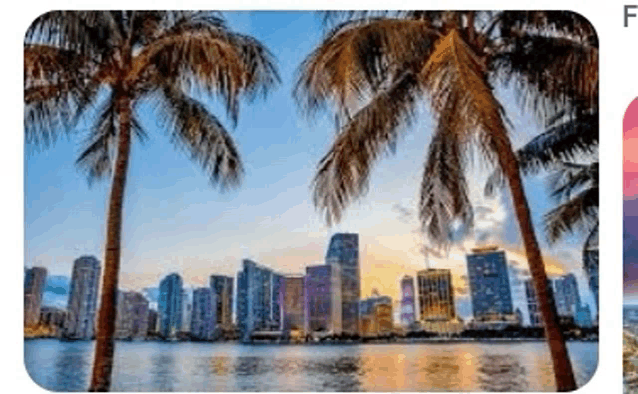 a picture of a city skyline with palm trees in the foreground and a river in the background .