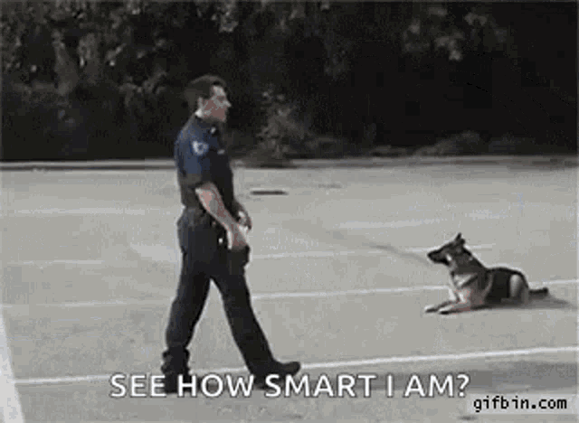 a police officer is walking a german shepherd dog on a leash .