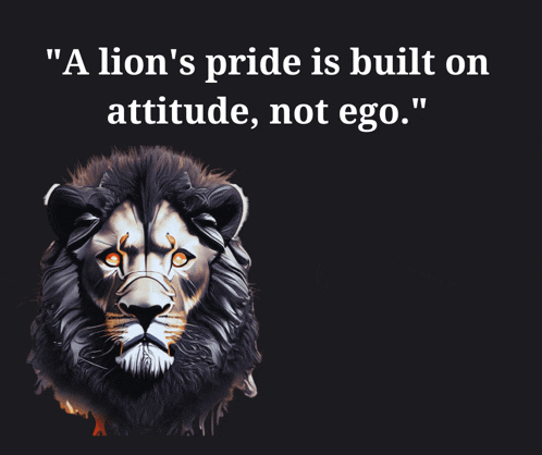 a lion 's pride is built on attitude , not ego