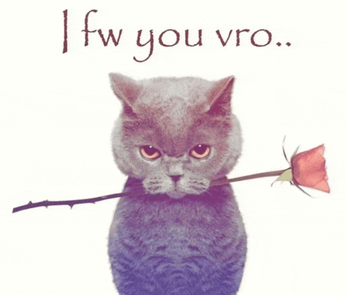 a cat holding a rose in its mouth with the words i fw you vro written below it