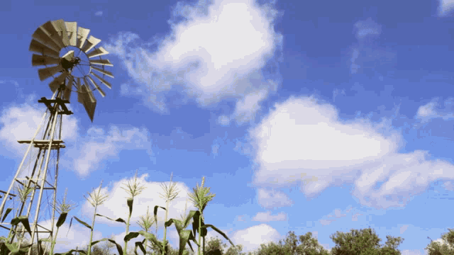 a windmill in a field with a blue sky in the background